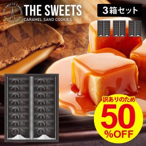 半額セール 訳あり わけあり スイーツ お菓子 クッキー キャラメルサンドクッキー 食品 福袋 個包装 16個入×3箱セット SCS20 賞味期限2022年9月5日 送料無料