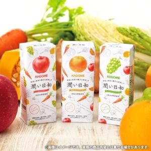 母の日 ギフト 2026 健康 ジュース プレ...の詳細画像2