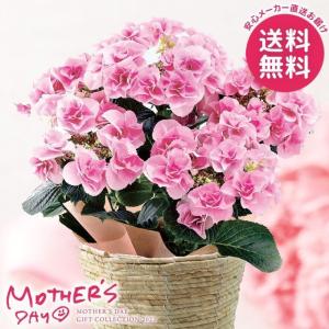 アジサイ フェアリーアイの商品一覧 通販 Yahoo ショッピング