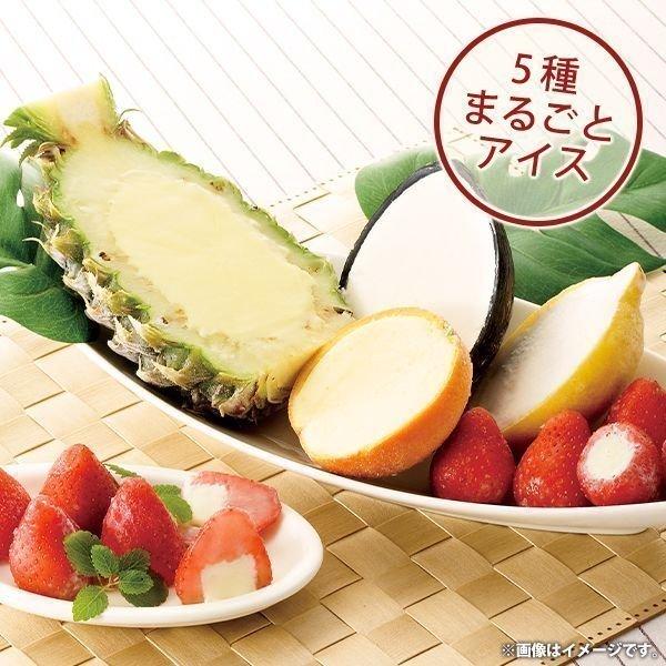 お歳暮 御歳暮 2025 アイスクリーム ギフト 贈り物 セット スイーツ お取り寄せ 内祝い 内祝...