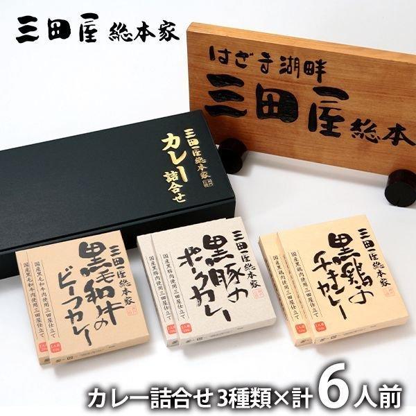 お歳暮 御歳暮 2025 内祝い 内祝 お返し 惣菜 ギフト 贈り物 カレー 3種 計6人前 セット...