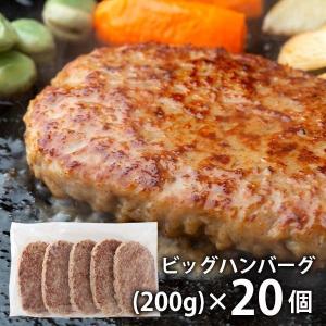 内祝い 内祝 お返し 惣菜 父の日 プレゼント ギフト ビッグ ハンバーグ 計20個 セット ボリュームたっぷり メーカー直送｜japangift