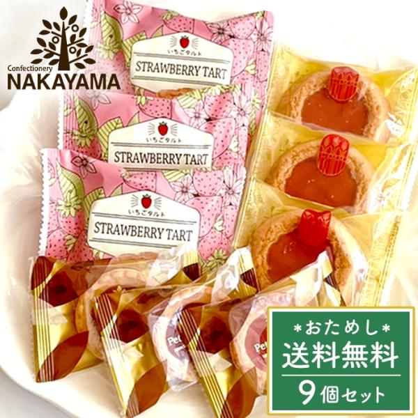 スイーツ ギフト 洋菓子 焼き菓子 いちご セット 9個 中山製菓 ロシアケーキ 個包装 メール便 ...