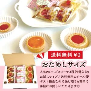 スイーツ ギフト 2026 洋菓子 焼き菓子 ...の詳細画像3