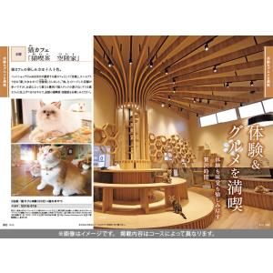 JTB カタログギフト 旅行 温泉 体験 グル...の詳細画像5