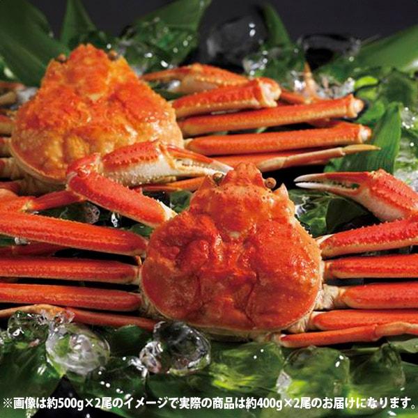魚介類 海産物 母の日 ギフト 2026 ボイル ずわいがに姿 400g 2尾 セット 内祝い お返...