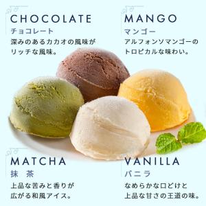 お中元 敬老の日 アイス アイスクリーム スイ...の詳細画像5