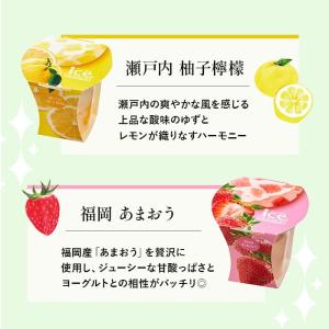 お中元 2026 アイスクリーム アイス お菓...の詳細画像5