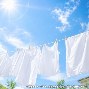 洗剤 ギフト P&G 液体洗剤 洗濯用...の詳細画像1