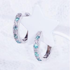 パライバ トルマリン ピアス プラチナ製 : Jewellery SHIBATA - 通販