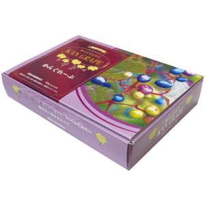 発酵そばの芽「そばの芽ぐみFBP-100」 : JAPANICAREヤフー店 - 通販