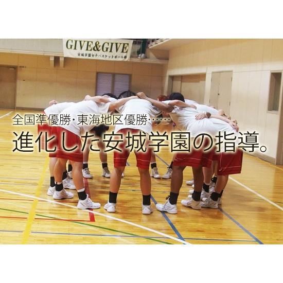 安城学園・飛躍を生んだ金子寛治の「チームを伸ばす」指導 DVD バスケットボール 1008-S 全2...
