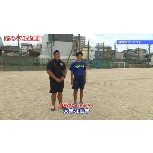 「押し出す」砲丸で記録を伸ばす DVD 陸上 ...の詳細画像1
