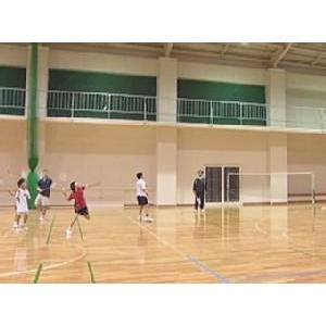 困った時の指導者お助けDVDシリーズ バドミン...の詳細画像5