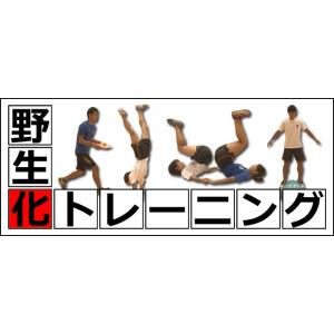 全種目対応・陸上選手のための補強ドリル集 DVD 陸上 909-S 全1巻