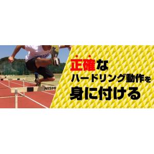 国際武道大学・櫻井コーチのハードリングドリル DVD 陸上 946-S 全1巻