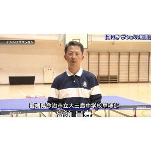 公立中学校“800日”の練習計画2 卓球 DV...の詳細画像2