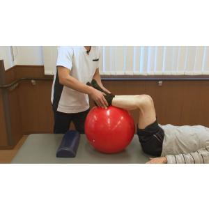 人工膝関節置換術のリハビリテーション ー術前か...の詳細画像2