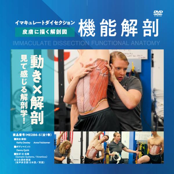 イマキュレートダイセクション 機能解剖 ME286-S 理学療法 全1巻