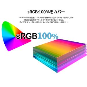 JAPANNEXT 16インチ IPSパネル搭...の詳細画像5