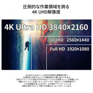 JAPANNEXT 31.5インチ IPSパネ...の詳細画像5