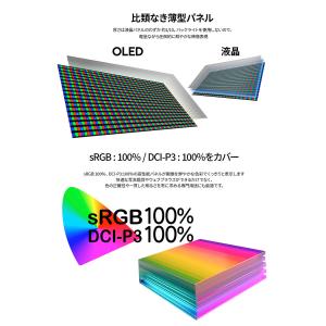 JAPANNEXT 13.3インチ 有機EL(...の詳細画像5