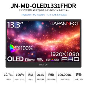 【ECサイト限定】 JAPANNEXT 13....の詳細画像1