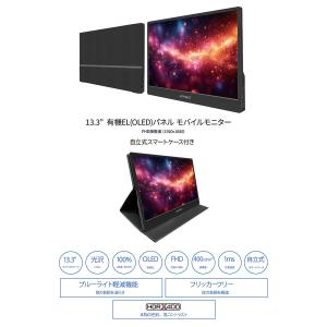 【ECサイト限定】 JAPANNEXT 13....の詳細画像2