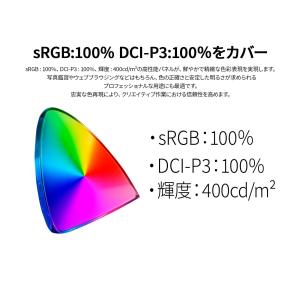 【ECサイト限定】 JAPANNEXT 13....の詳細画像4