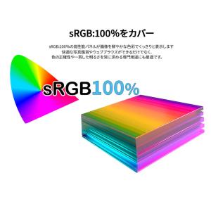 JAPANNEXT 31.5インチ IPSパネ...の詳細画像4