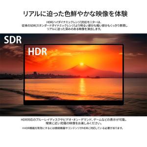 JAPANNEXT 15.6インチ IPSパネ...の詳細画像5