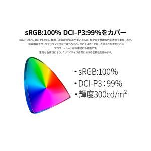 JAPANNEXT 23.8インチ IPSパネ...の詳細画像3