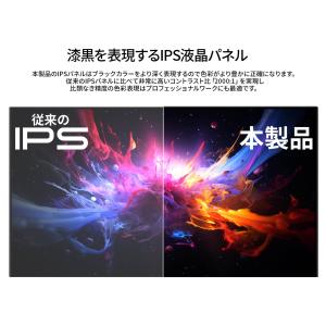 JAPANNEXT 31.5インチ IPSパネ...の詳細画像4