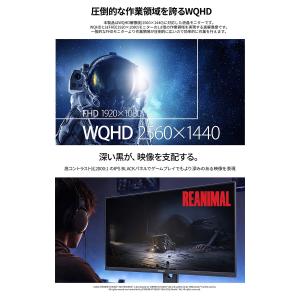 【ECサイト限定】JAPANNEXT 27イン...の詳細画像5