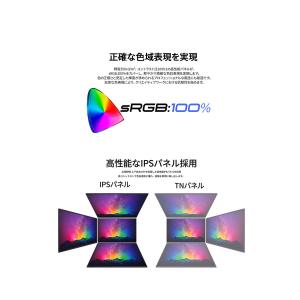 JAPANNEXT 13.3インチ IPSパネ...の詳細画像5
