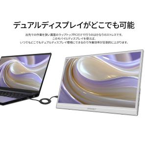 JAPANNEXT 15.6インチ IPSパネ...の詳細画像4