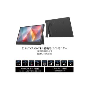 【ECサイト限定】JAPANNEXT 11.6...の詳細画像2