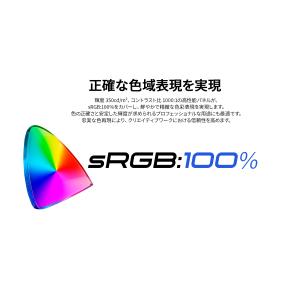 【ECサイト限定】JAPANNEXT 11.6...の詳細画像5