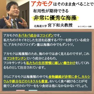 アカモク 千寿藻 300g×5本 テレビ通販 ...の詳細画像5