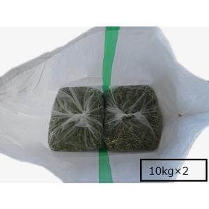 (1kg)アメリカ産ホースプレミアムアルファル...の詳細画像5