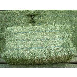 2025年産(1kg)アメリカ産プレミアムホー...の詳細画像1