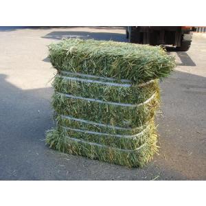 [2025年](1kg)アメリカ産プレミアムホ...の詳細画像1