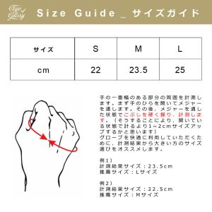 【正規総代理店】エイジオブグローリー ビクトリ...の詳細画像5