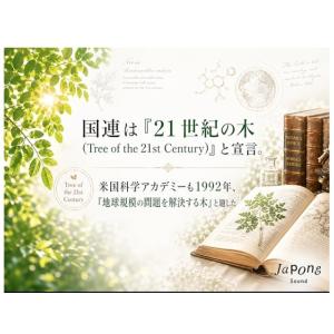 100%オーガニック ミラクルニームパウダー ...の詳細画像5