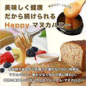 プレミアム マヌカハニー UMF 15+ 25...の詳細画像5