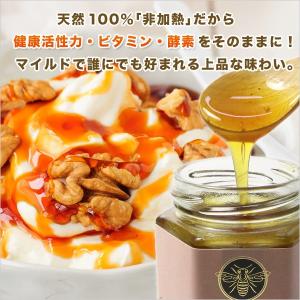 マリーハニー TA 20+ 130g スタンド...の詳細画像5