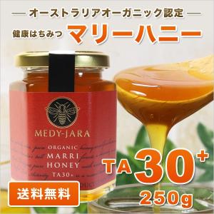 マリーハニー TA 30+ 250g マヌカハ...の詳細画像1