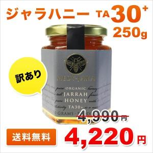 訳あり OUTLET ジャラハニー TA 30+...の商品画像