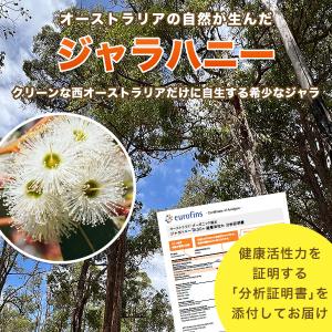 プレミアム ジャラハニー TA 30+ 130...の詳細画像4
