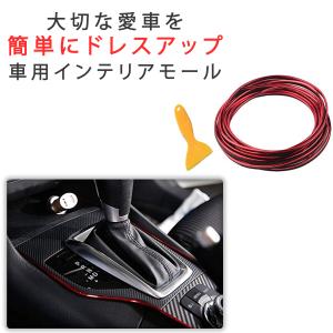 カーインテリアモール　５メートル　車用品　ドレスアップ　車内グッズ　カラーモール カー用品 自動車用 カスタム アクセサリー カーモール 差し込み式